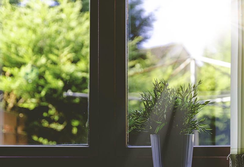 Exterior view of a residential window showing modern frame and glass detailing