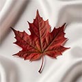 Manufactured in Ontario